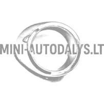 Eesmine parempoolne kroomitud udutule raam Microcar