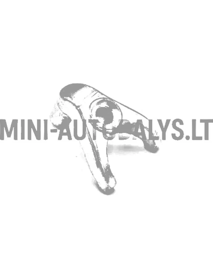 Kõrgsurvepumba survehoidik Lombardini DCI