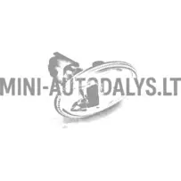 Microcar MC / MGO esituli