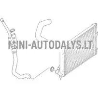 Radiaatori voolik Microcar MGO1 / MGO2 / M8 Lombardini 502 Progress