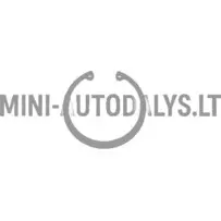 Vedrustusega rooliots