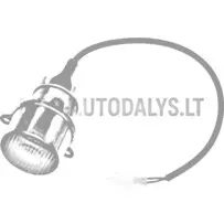 Vasakpoolne tagumine udutuli Microcar / Ligier