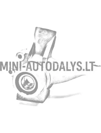 Vasak roolivarda ots Ligier IXO