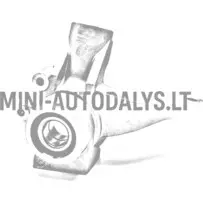 Vasak roolivarda ots Ligier IXO