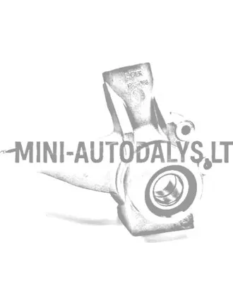 Parempoolne rooliots Ligier IXO