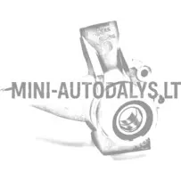 Parempoolne rooliots Ligier IXO