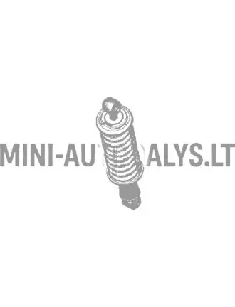 Tagumine amortisaator Ligier Nova (2. paigaldus)