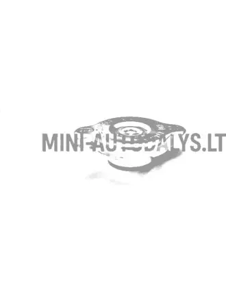 Radiaatori kork Ligier Ambra