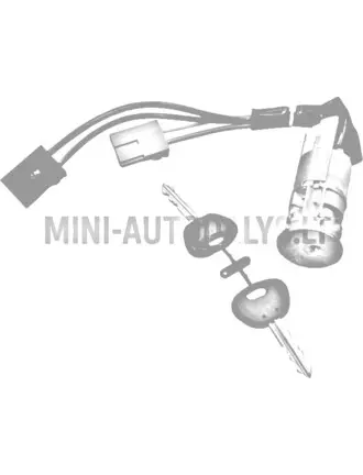 Süütevõti Microcar Virgo / Ligier Nova