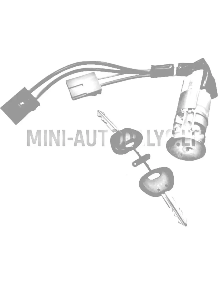 Süütevõti Microcar Virgo / Ligier Nova