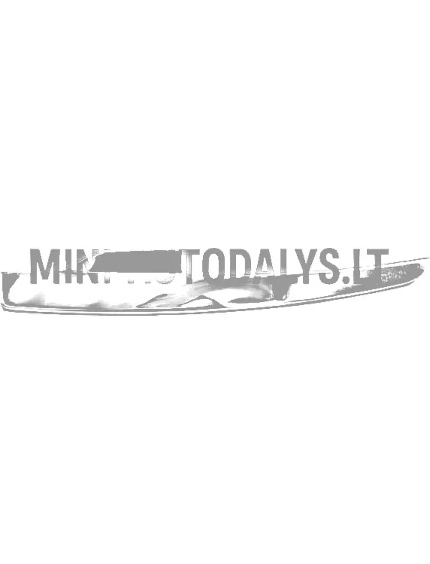 Dekoratiivliist esitule alla Ligier JS50/JS50L Ph2/Ph3 (kroomitud)