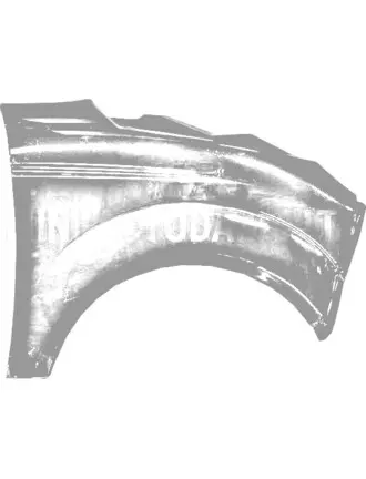 Eesmine parempoolne poritiib Microcar MGO4 / Due3 (öösinine)