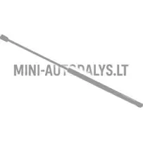 Tagaluugi amortisaator Ligier JS60