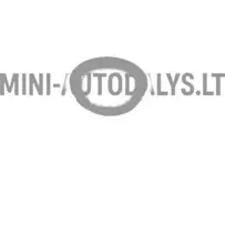 Ligier JS50L Ph3 ilukilbi rummukate