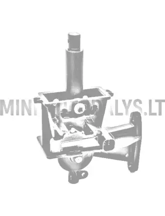 Käiguvahetushoob Microcar / Ligier