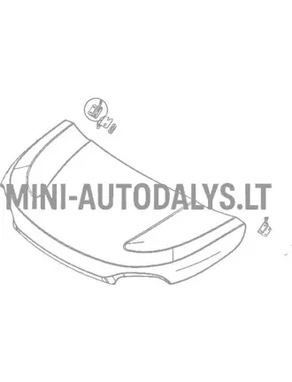 Eesmine parempoolne kapoti hing Microcar MGO6 / Due6