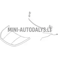 Kapoti hing esiosa vasak Ligier JS60