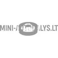 Esitulede tugikumm Ligier JS60