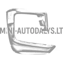 Vasakpoolne tagumise stange otsak Ligier JS60 Sport Ultimate (GRIS ASPHALT)