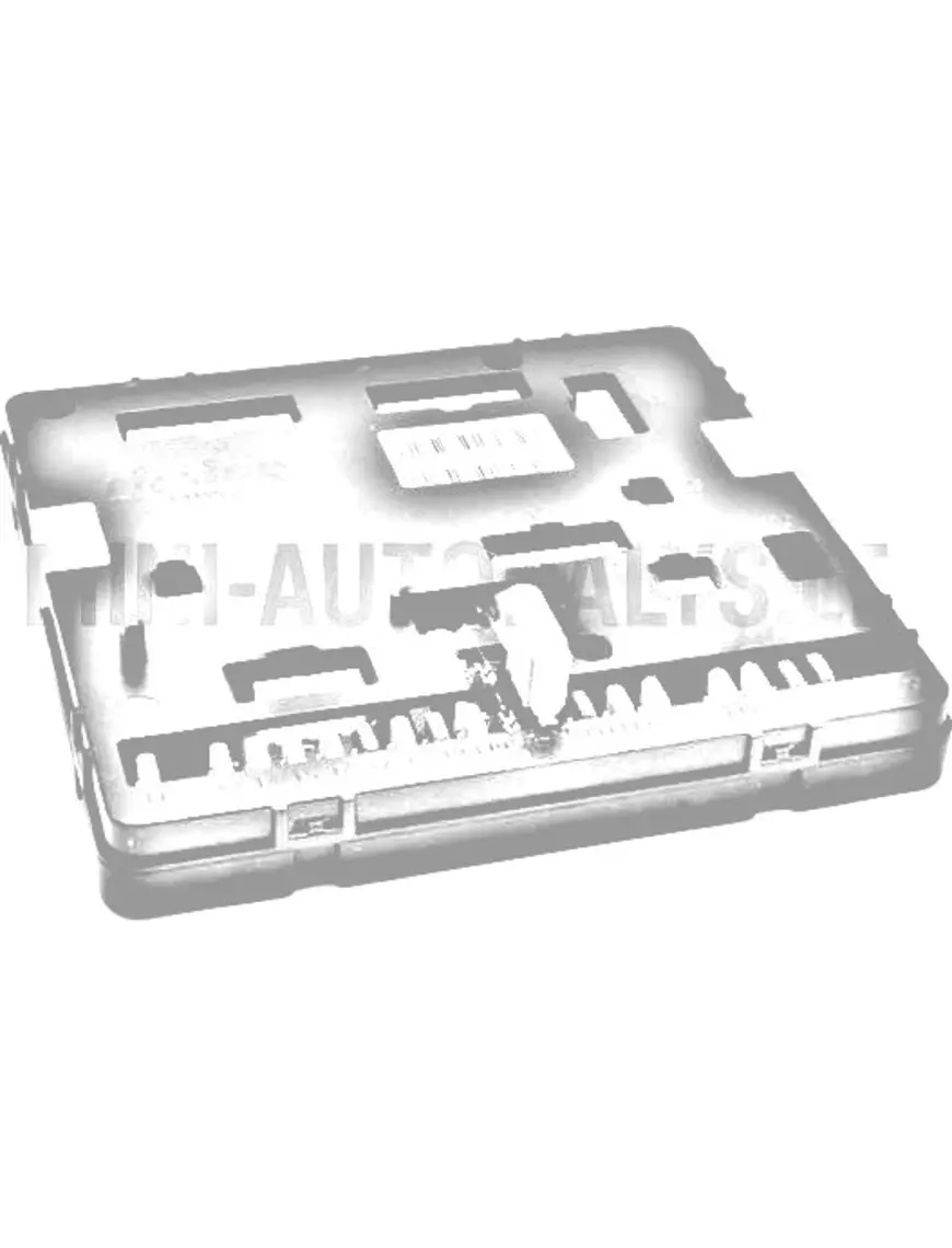 BFI Box Ligier / Microcar / Due