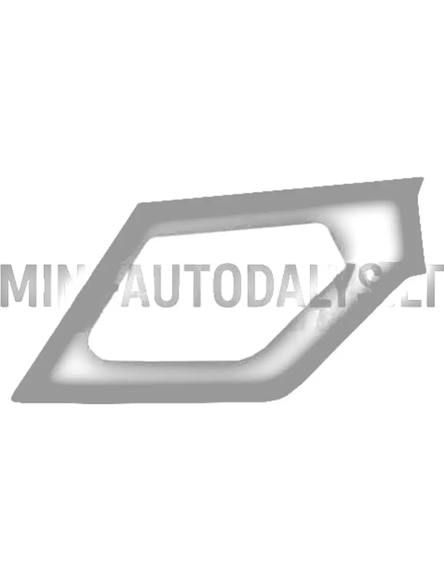 Tagumine parempoolne ahergreen külgaken Ligier JS50 ph2 / ph3