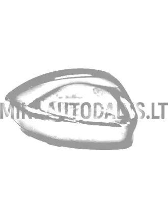 Peeglikate parempoolne läikiv must Ligier JS60