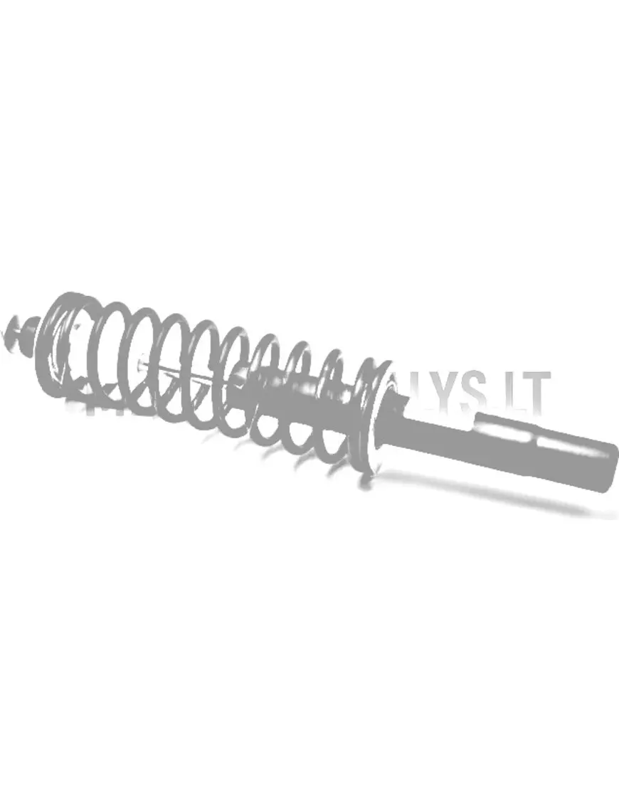 Esimene amortisaator Ligier JS50 / JS50L Ph1