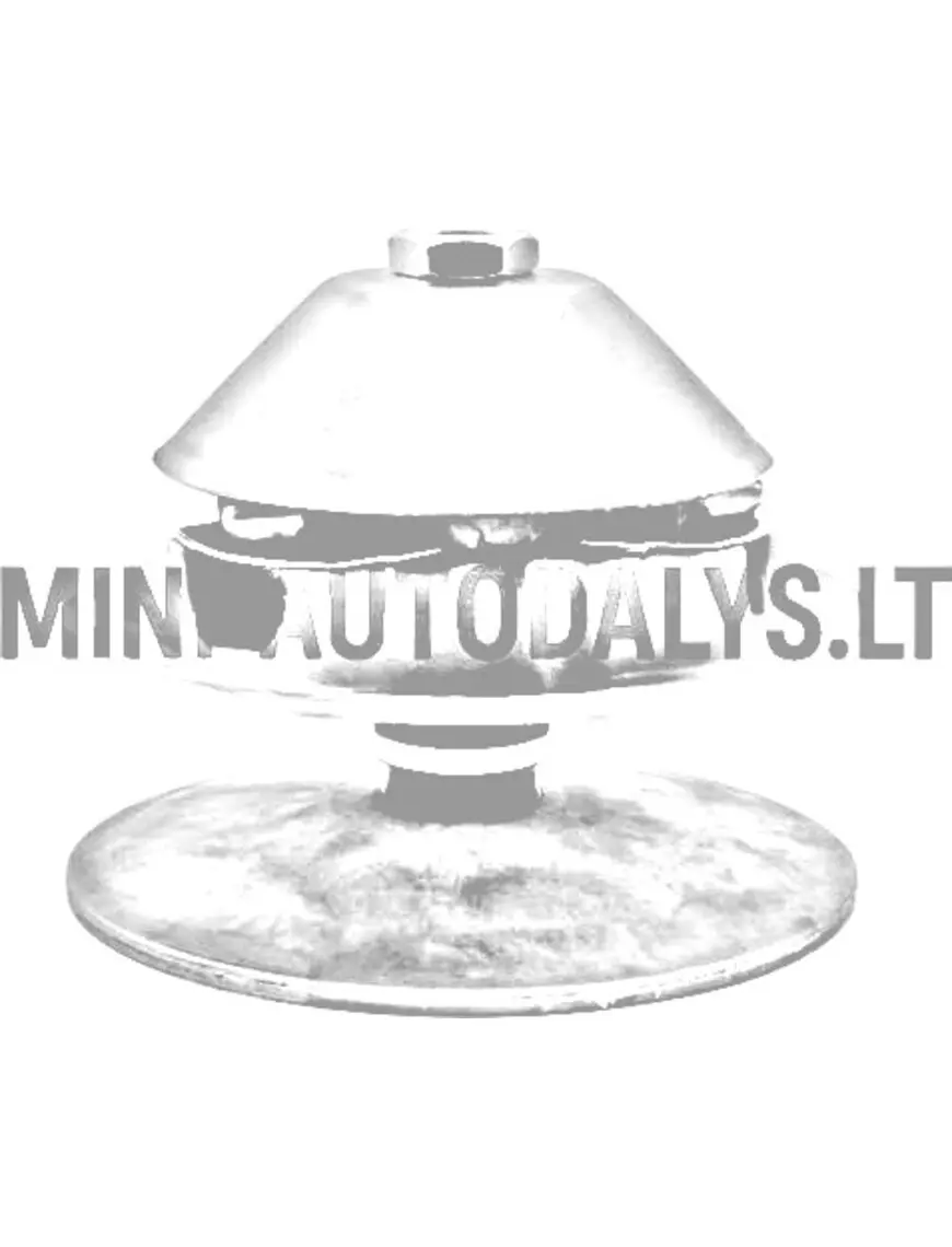 Variosidur mootori pool Aixam 1. mudeli originaal IBC