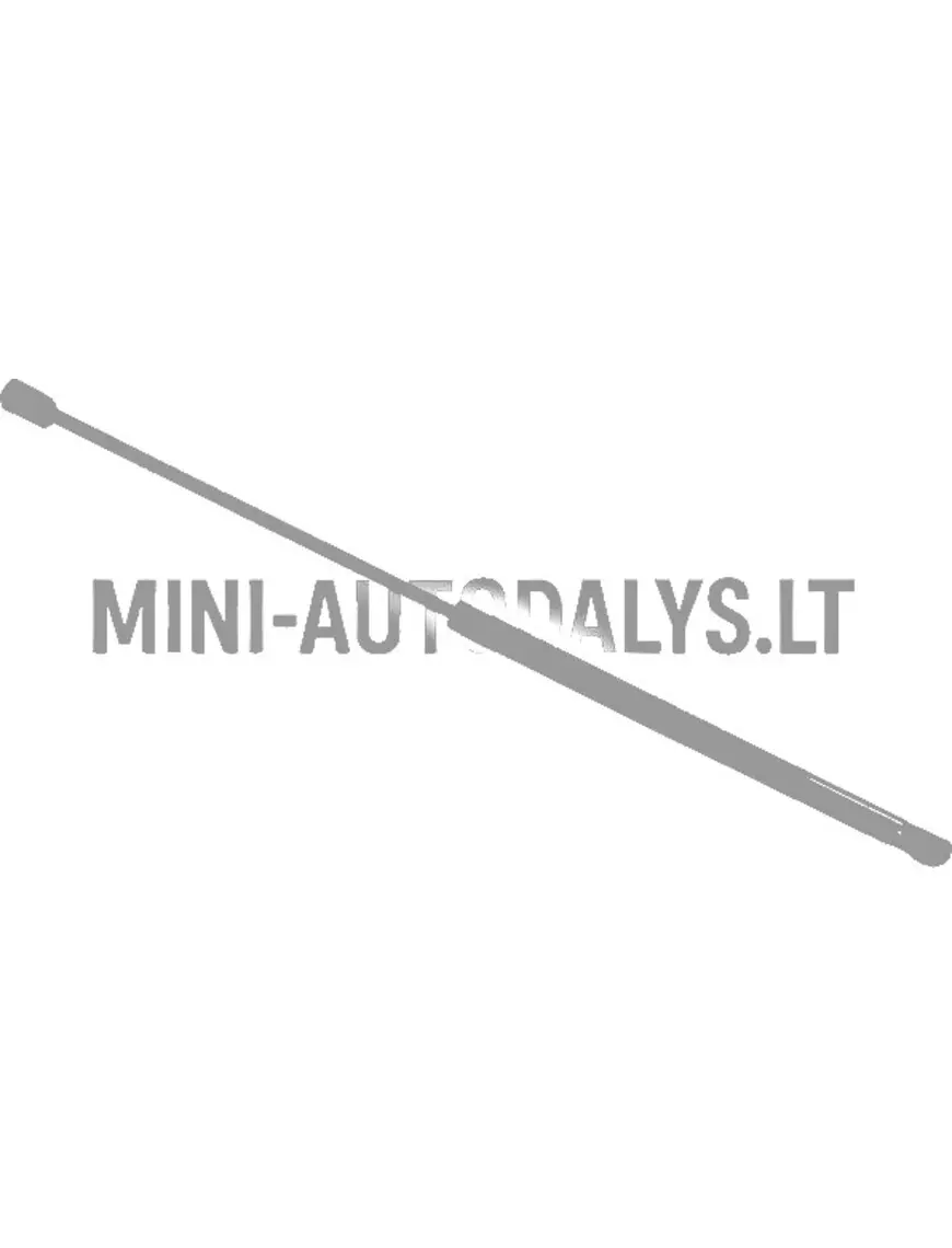 Tagaluugi amortisaator Microcar MGO