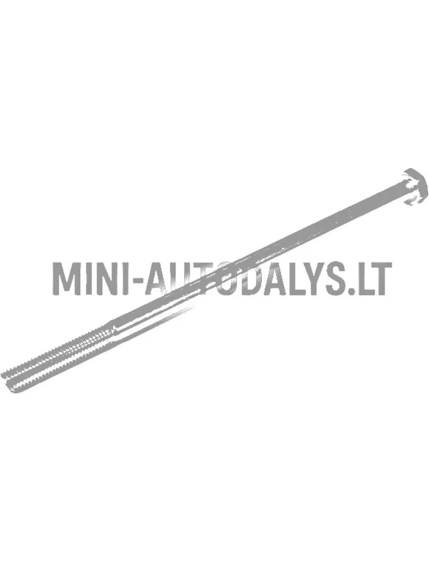 Kruvikäigukast Ligier X-Too S / R (M10x220)