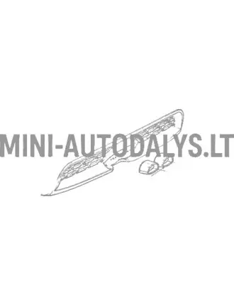 Väljalasketoru otsik Ligier IXO / JS50 ph1 / JSRC