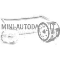 Filtrite komplekt Lombardini 502 FOCS