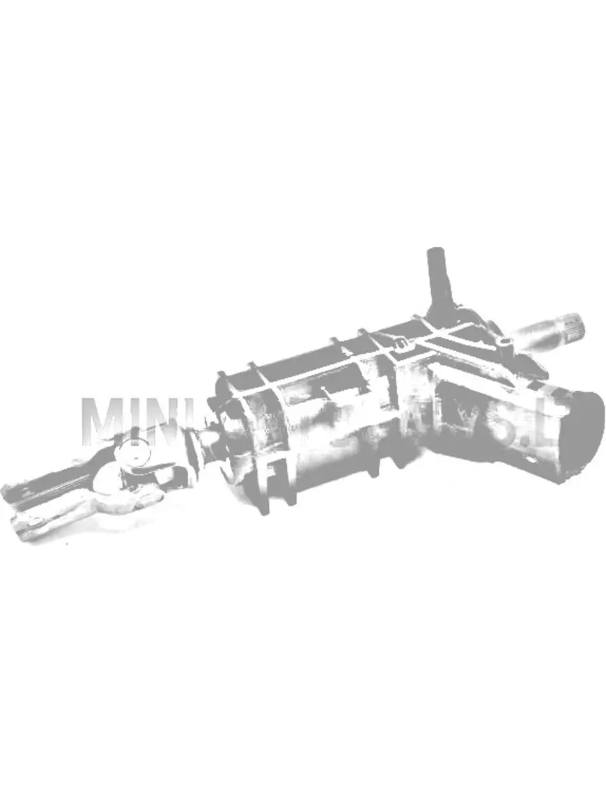 Roolisammas Ligier / Microcar