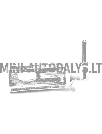 Vasakpoolne uksehing Ligier IXO