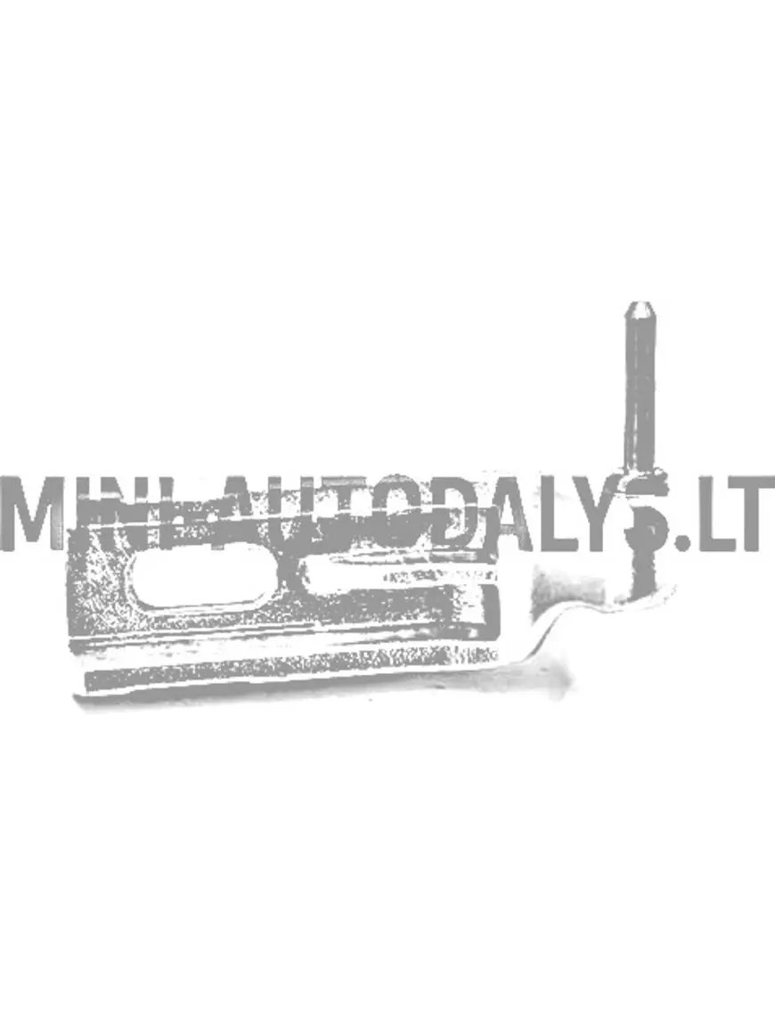 Vasakpoolne uksehing Ligier IXO