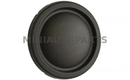 Udutule kate esimesele stangele, Aixam | Mini Auto Parts