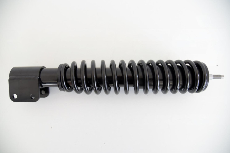 Esiamort Microcar Virgo 1/2