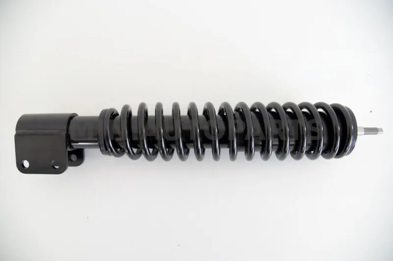 Esiamort Microcar Virgo 1/2