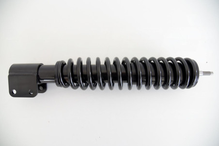 Esiamort Microcar Virgo 1/2