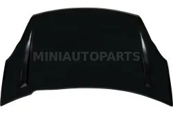 Ligier IXO luuk | Mini Auto Parts