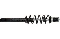 Esimene amortisaator Chatenet #18438 | Mini Auto Parts