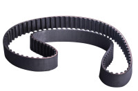 Lombardini hammasrihm Ligier JS50 / IXO / X-Too R / JSRC