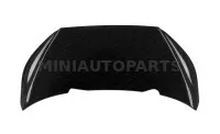 Välimine paneeli kate Aixam Sensation | Mini Auto Parts