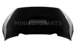 Välimine mootorikatte paneel 2013. aasta Aixam VISION