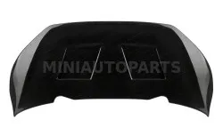 Välimine mootorikatte paneel 2013. aasta Aixam VISION