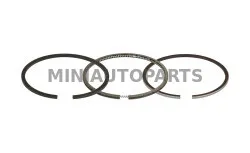 Mitsubishi standard mootorirõngad Casalini Ydea / M10 / M12 / Sulky