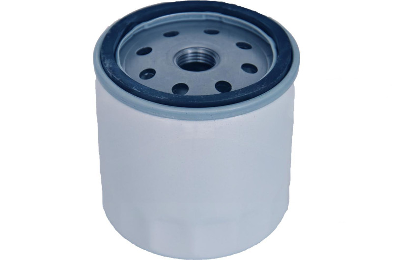 Vana Lombardini diiselkütuse filter Ligier JS50 / IXO / X-Too R / JSRC