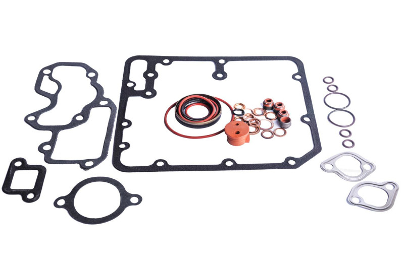 Suur mootori tihendite komplekt Lombardini LDW502 Microcar MC1 / MC2 / Virgo