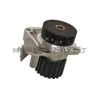 Lombardini veepump Ligier JS50 / IXO / X-Too R / JSRC