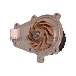 Lombardini CDI veepump Ligier JS50 / IXO / X-Too R / JSRC